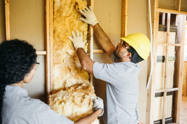Best Local Insulation Services  in Janesville, CA