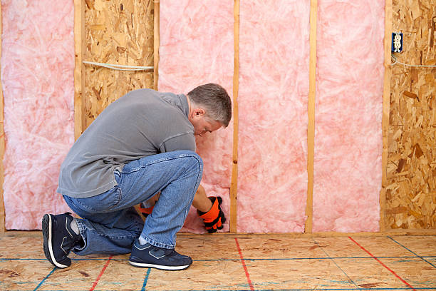 Best Blown-in Insulation  in Janesville, CA